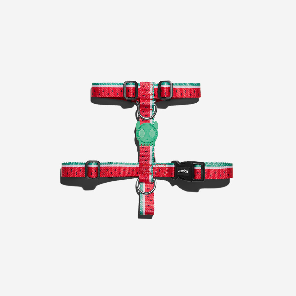 Lola H-Harness