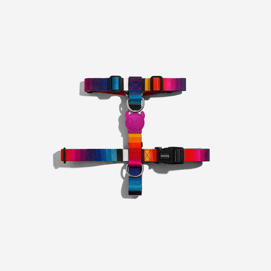 Prism H-Harness