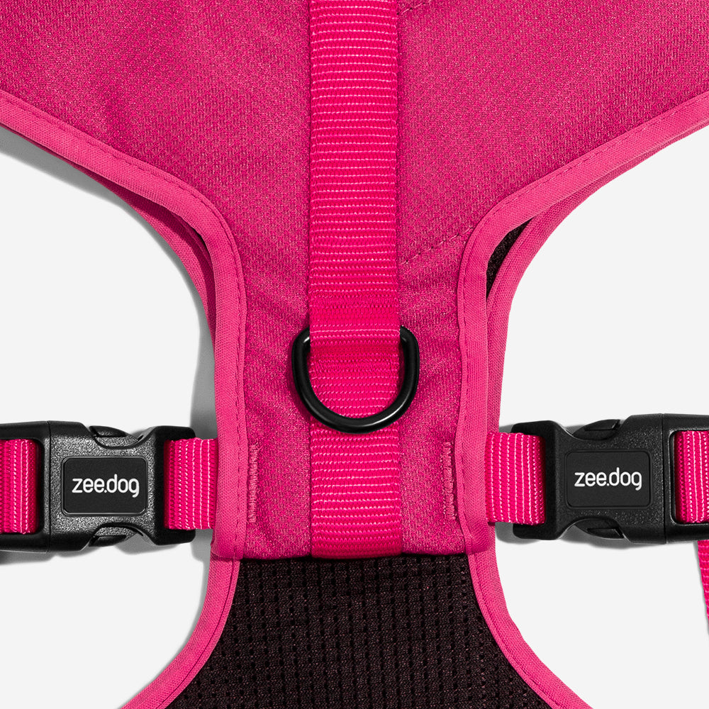 Pink Led Adjustable Mesh Harness