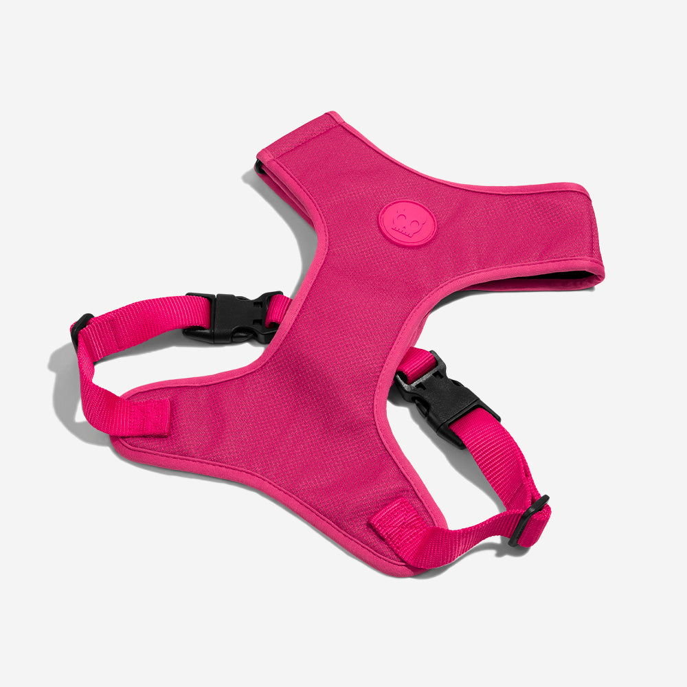 Pink Led Adjustable Mesh Harness