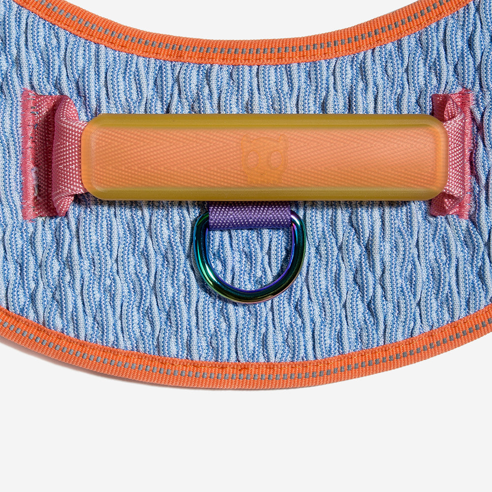 Harness with handle - Flyharness Galaxy