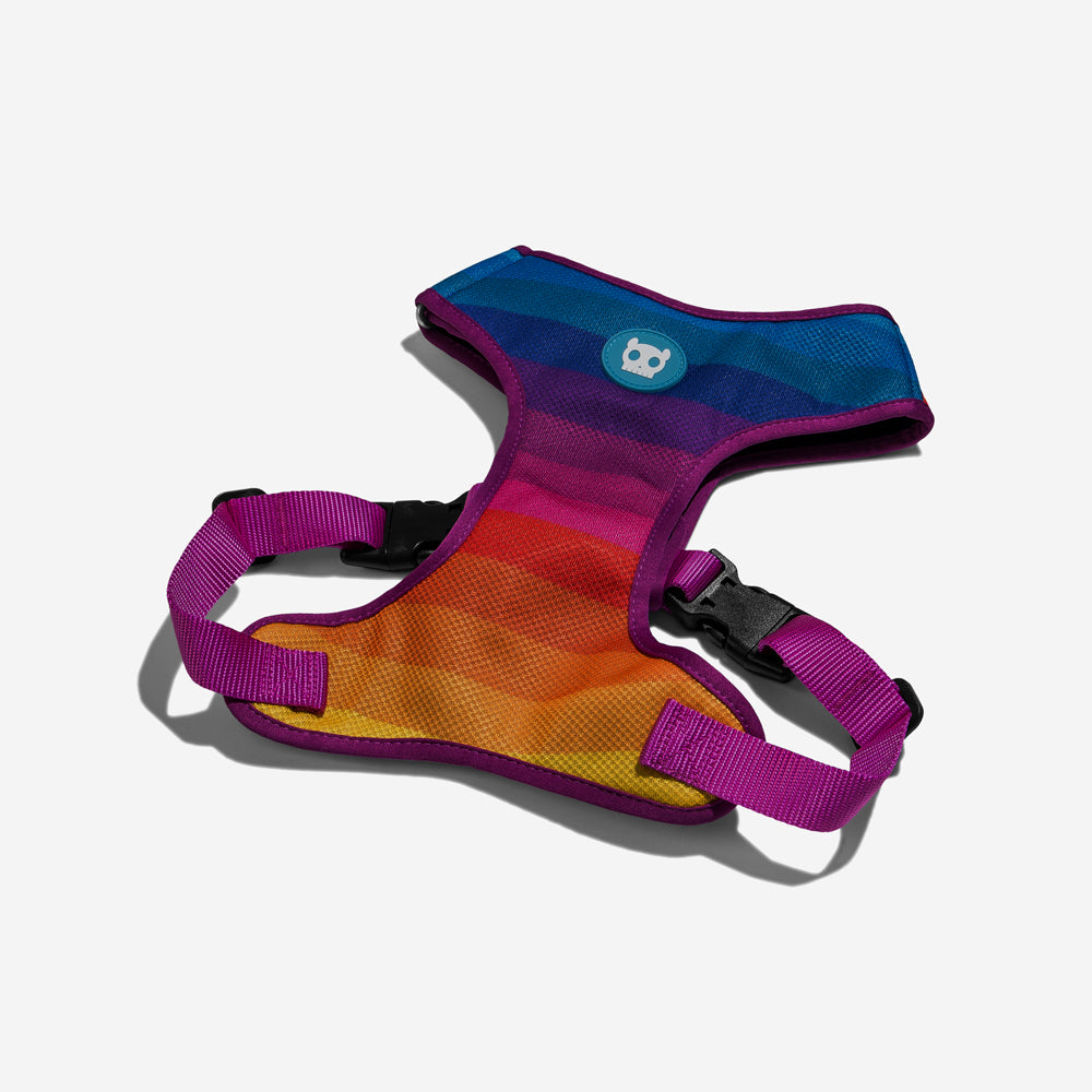 Prisma Adjustable Mesh Harness