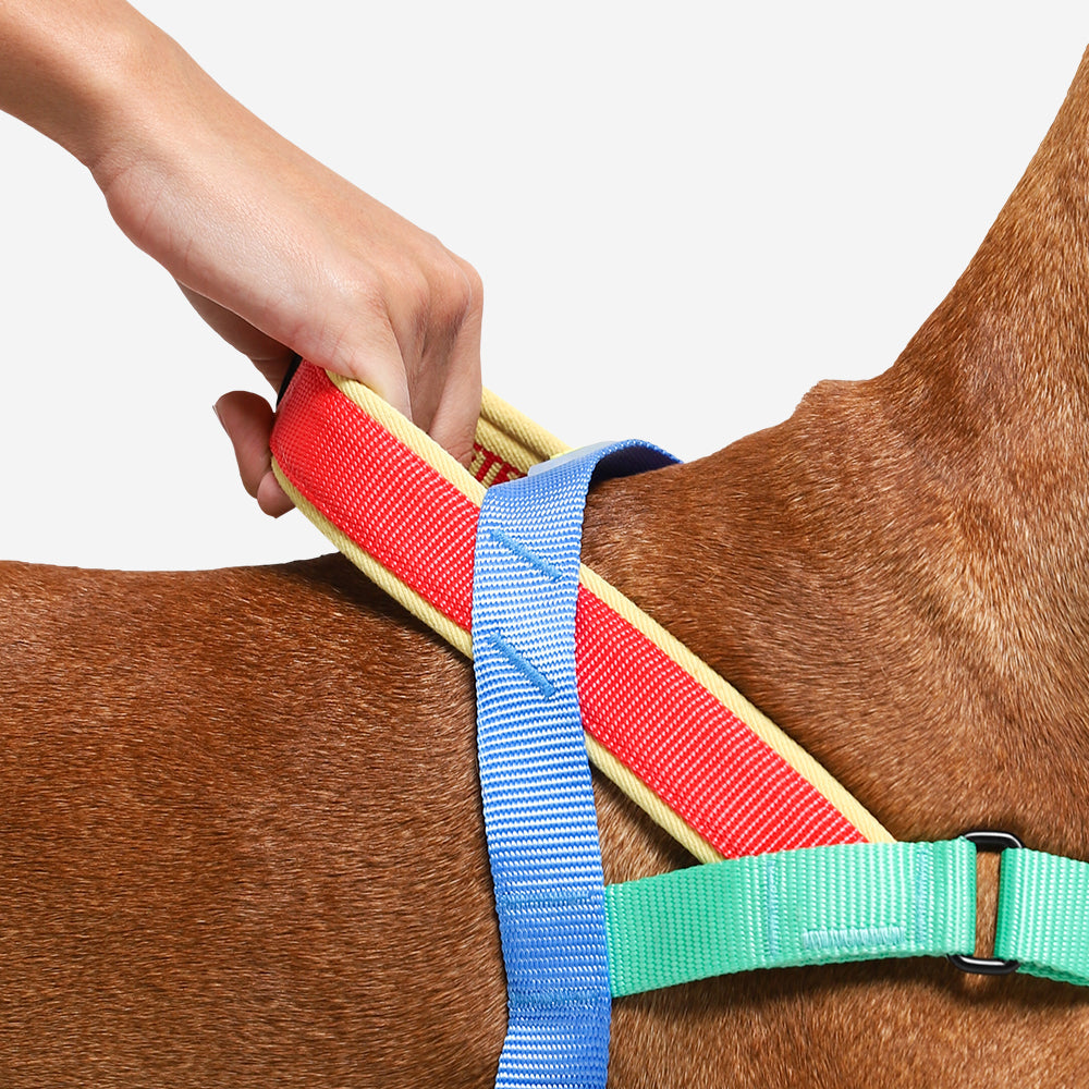 Norwegian Softer-walk Harness Softer-walk Mellow