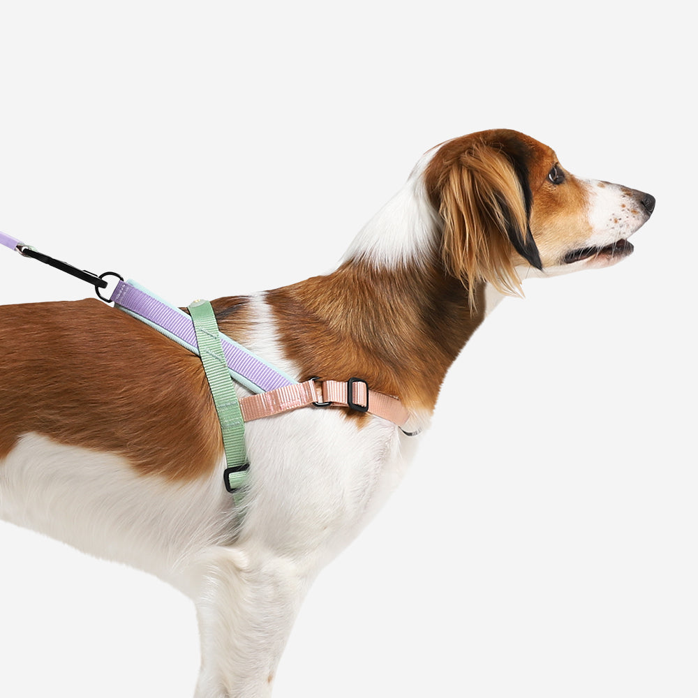 Norwegian Softer-walk Harness Peach