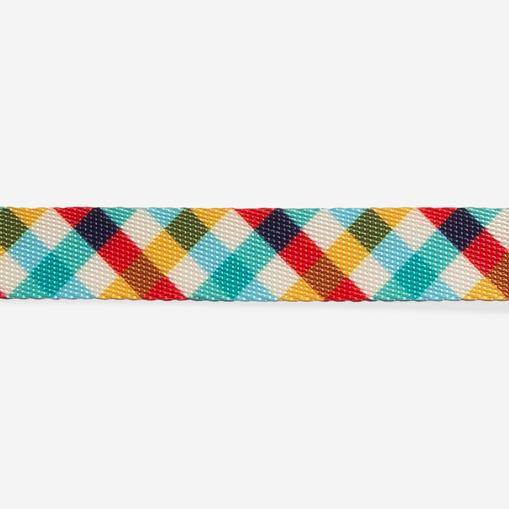 Phantom Cat Collar