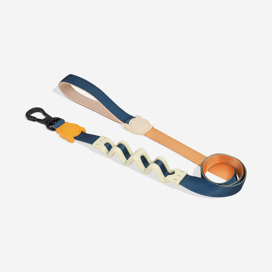 Voyage Shock Absorbing  Ruff Leash 2.0