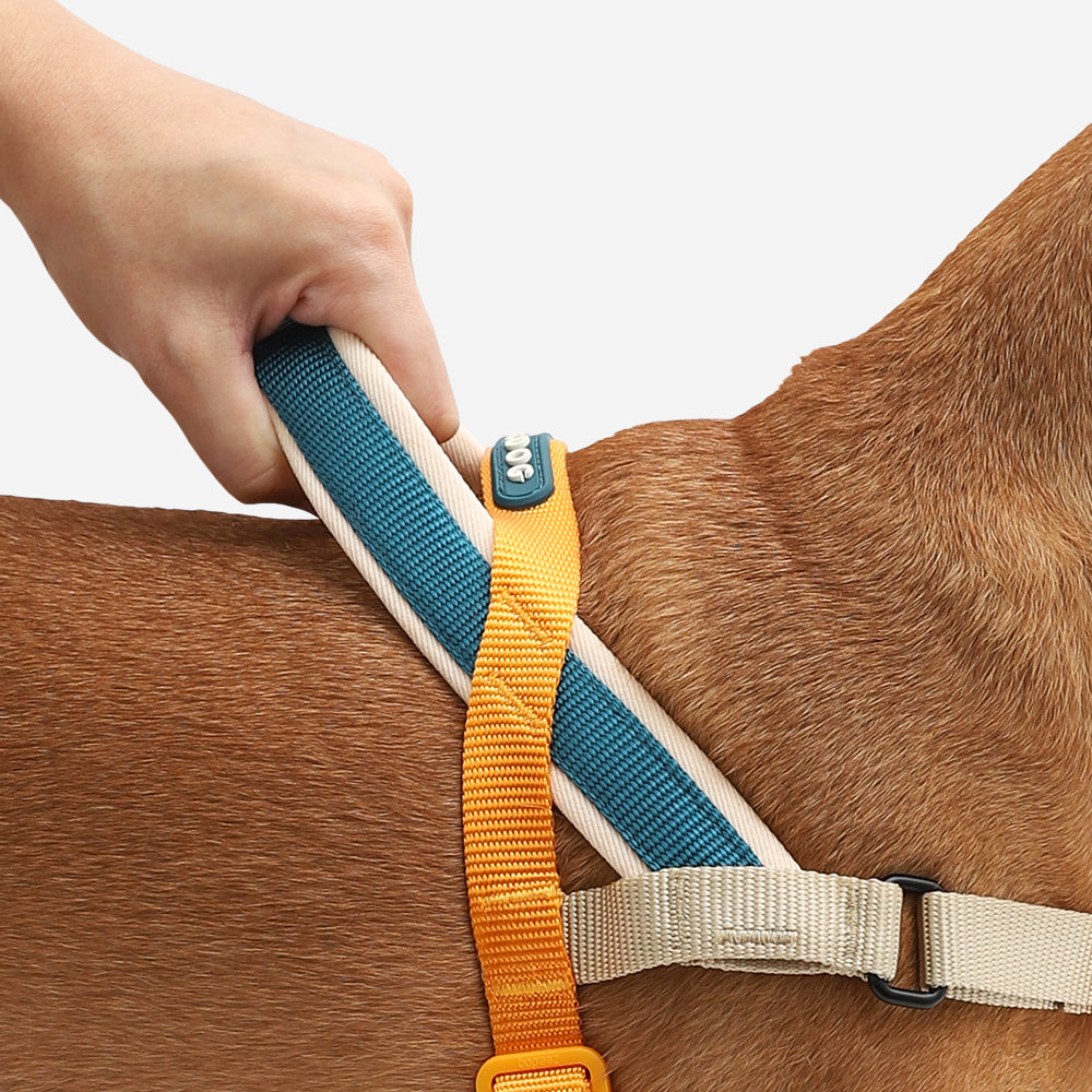 Norwegian Softer-walk Harness Voyage