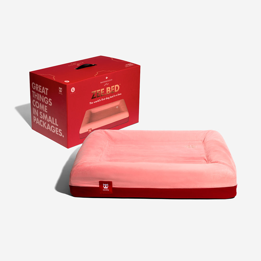 Zee.Bed Najima Doghouse