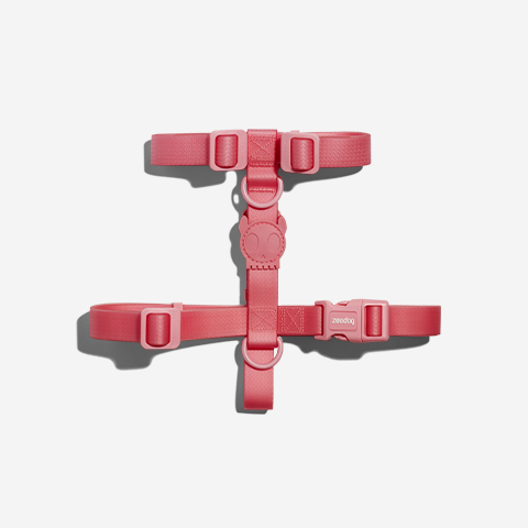 Neopro Bubblegum H-Harness