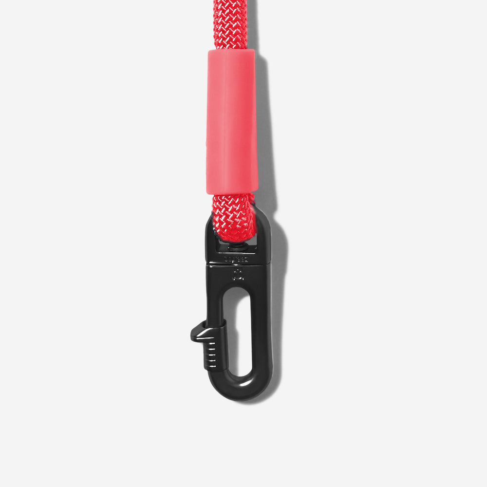 Hands Free Leash Neon Coral