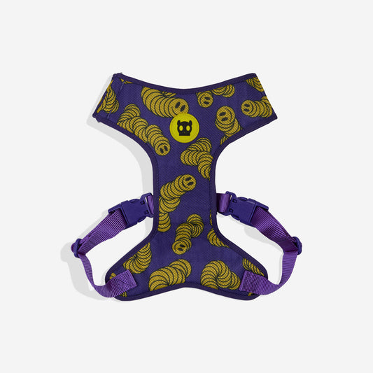Lords Of Zee.Town Zmiley Adjustable Mesh Harness